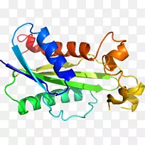 Ь�����߶����������-������