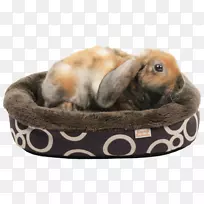 С��ë����-С��-������