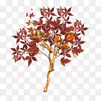 �＾-����-������