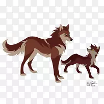 ���ƻ����������Ͷ���-������