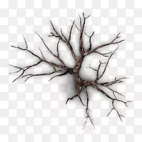 树枝,树枝-空若网 树枝,树枝-空若网
