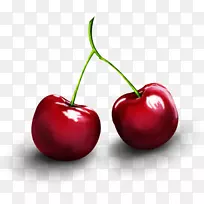 巴巴多斯樱桃食品樱桃甜樱桃-空若网 巴巴多斯樱桃食品樱桃甜樱桃-空若网