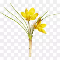 插花艺术-空若网 插花艺术-空若网