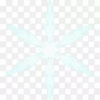 花瓣对称线叶型线-空若网 花瓣对称线叶型线-空若网