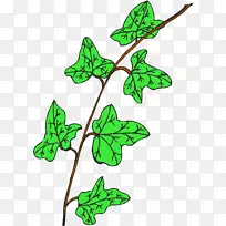 叶植物茎开花植物线状剪贴画叶-空若网 叶植物茎开花植物线状剪贴画叶-空若网