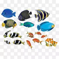 鱼鲈鱼烹饪食品剪贴画-鱼-空若网 鱼鲈鱼烹饪食品剪贴画-鱼-空若网