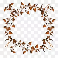 ���Բ��������ͼ�����-������