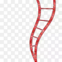 图片编辑摄影-空若网 图片编辑摄影-空若网