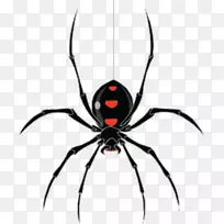 ÍøÂçÅÀ³æ·ç±©-¿ÕÈôÍø ÍøÂçÅÀ³æ·ç±©-¿ÕÈôÍø