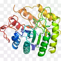 人体首饰有机体线剪贴画线-空若网 人体首饰有机体线剪贴画线-空若网