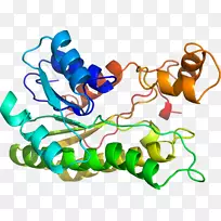 人体首饰有机体线剪贴画线-空若网 人体首饰有机体线剪贴画线-空若网