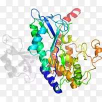 人体首饰有机体线剪贴画线-空若网 人体首饰有机体线剪贴画线-空若网