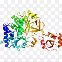 生物线动物剪贴画线-空若网 生物线动物剪贴画线-空若网