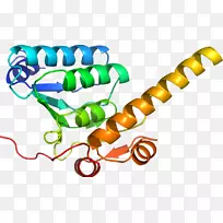 人体首饰有机体线剪贴画线-空若网 人体首饰有机体线剪贴画线-空若网