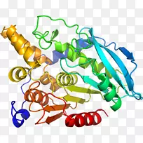 线点生物剪贴画线-空若网 线点生物剪贴画线-空若网