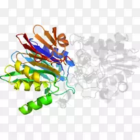平面设计有机体剪贴画设计-空若网 平面设计有机体剪贴画设计-空若网
