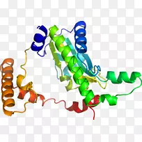 无脊椎动物线动物剪贴画线-空若网 无脊椎动物线动物剪贴画线-空若网