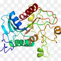 人体首饰有机体线剪贴画线-空若网 人体首饰有机体线剪贴画线-空若网