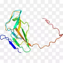 �ߵ������������-������