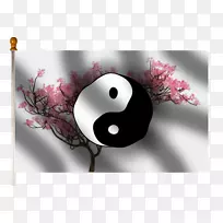 ̨ʽ��ֽ������д��ֽ����-������