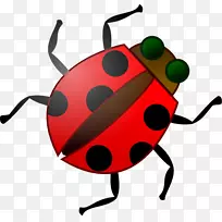 昆虫软件免费内容剪贴画甲虫剪贴画-空若网 昆虫软件免费内容剪贴画甲虫剪贴画-空若网