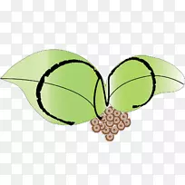 ����������������-����-������