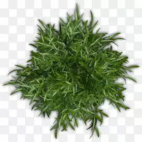 赫伯-空若网 赫伯-空若网