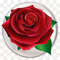 花狂玫瑰Android下载-玫瑰-空若网 花狂玫瑰Android下载-玫瑰-空若网