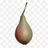 欧洲梨-空若网 欧洲梨-空若网