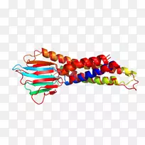 人体珠宝字体-空若网 人体珠宝字体-空若网