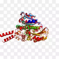 圣诞饰品人体珠宝剪贴画-圣诞节-空若网 圣诞饰品人体珠宝剪贴画-圣诞节-空若网