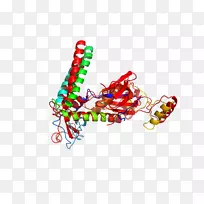 珠体珠宝字体-珠宝-空若网 珠体珠宝字体-珠宝-空若网