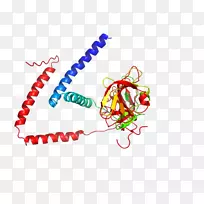 ��־�ߵ�������-������