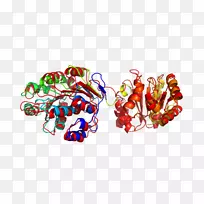 �����鱦����-�鱦-������