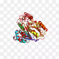 艺术体珠宝字体-空若网 艺术体珠宝字体-空若网
