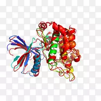 �߲�ˮ��������-�߲�-������