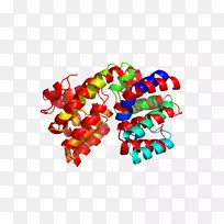 �ǹ����鱦����-�ǹ�-������