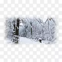 桌面壁纸笔记本电脑林显示分辨率冬季笔记本电脑-空若网 桌面壁纸笔记本电脑林显示分辨率冬季笔记本电脑-空若网