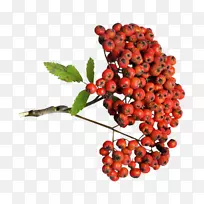 Խ�١��¸���˹��ɣ�غڴ���-������