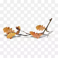 �＾�ļ������ֽ������-����-������