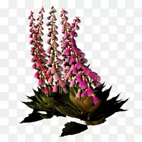 花卉设计切花-空若网 花卉设计切花-空若网