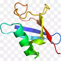 人体珠宝线剪贴画线-空若网 人体珠宝线剪贴画线-空若网