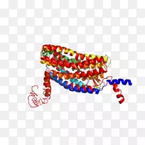 服装配饰线时尚字体线-空若网 服装配饰线时尚字体线-空若网