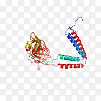 线条艺术点有机体剪贴画线-空若网 线条艺术点有机体剪贴画线-空若网