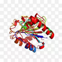 食物剪贴画-空若网 食物剪贴画-空若网