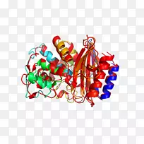 ʥ��װ��ʳƷ����-ʥ����-������
