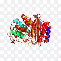 食物字体-空若网 食物字体-空若网