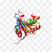 艺术体珠宝线剪贴画线-空若网 艺术体珠宝线剪贴画线-空若网