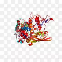 ͼ������������-������