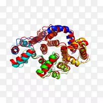 纯文本-空若网 纯文本-空若网